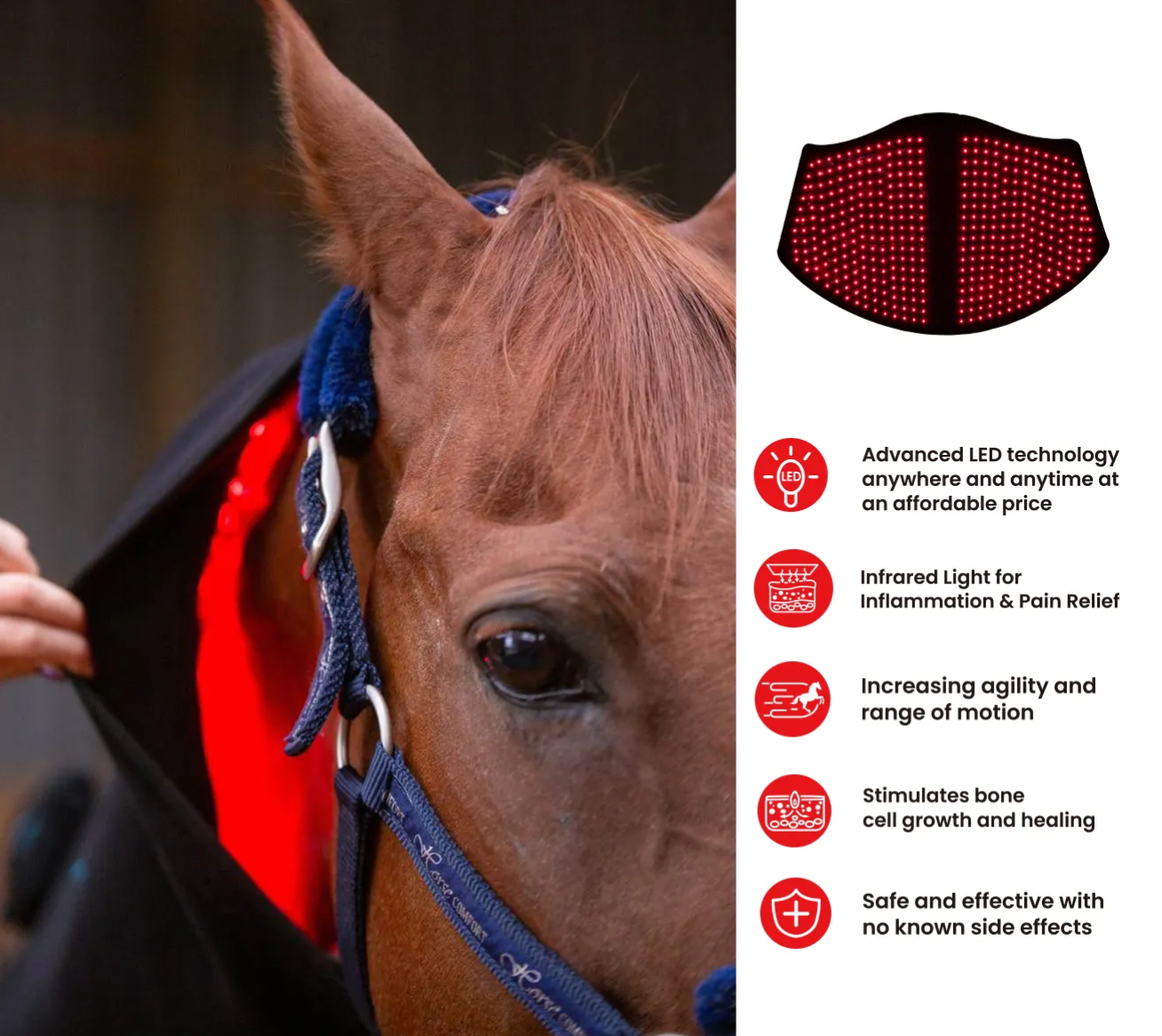 Red Light Targeting Neck Areas - Outdoor Furniture Target 리뷰 및 가격